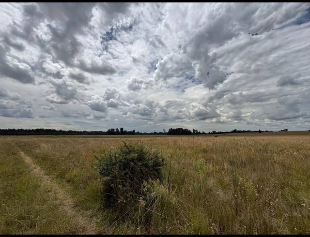 4,267M² VACANT LAND FOR SALE IN VAALPARK